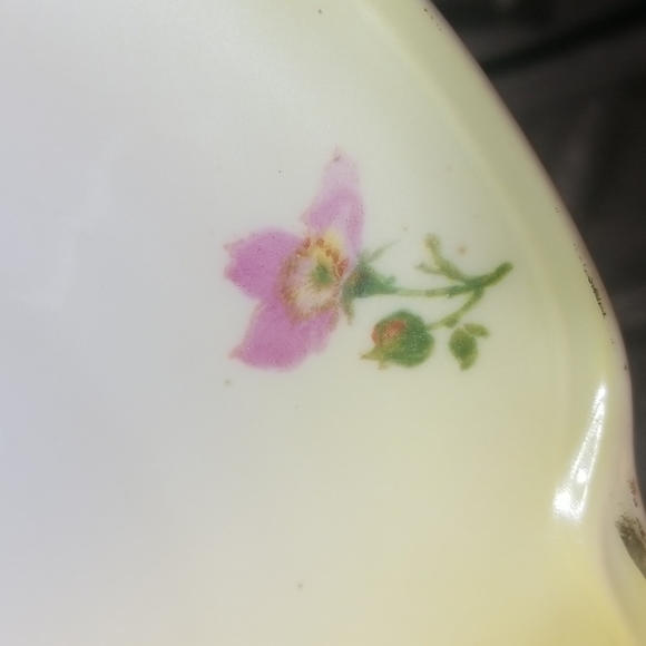 Antique J & C Louise Bavaria Apple Plate - Picture 7 of 14